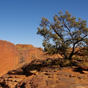 Cotterill's Lookout