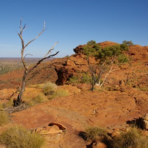 Cotterill's Lookout