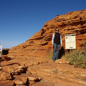 Cotterill's Lookout