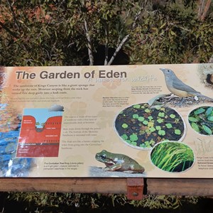 The Garden of Eden