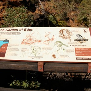 Garden of Eden