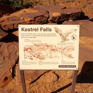 Kestrel Falls