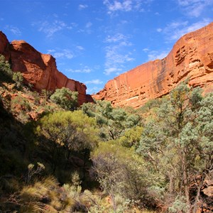 A Sanctuary viewing Platform