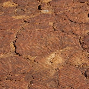 A Dead Sea's Ripples