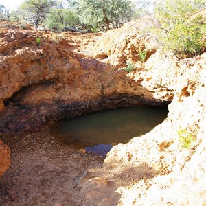 Albert Rockhole