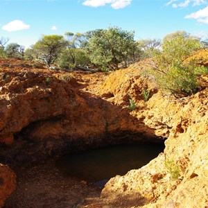 Albert Rockhole