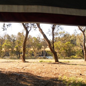 Shady spot for a picnic