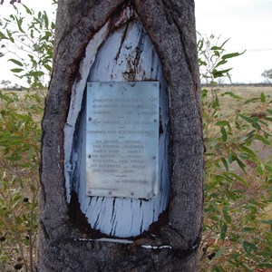 Len Beadell Blaze Tree 