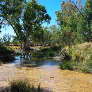 Elder Creek