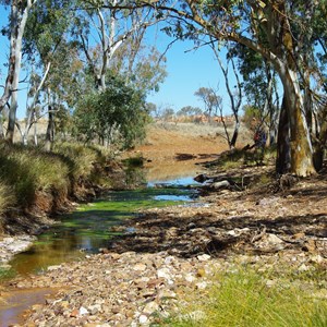 Elder Creek