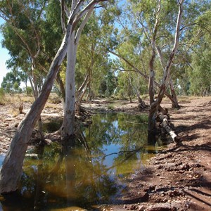 Elder Creek
