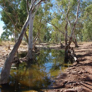 Elder Creek