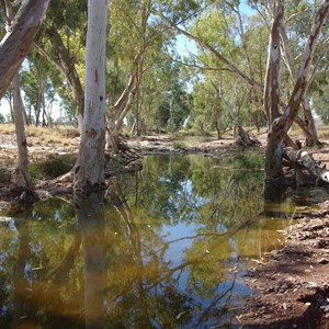 Elder Creek