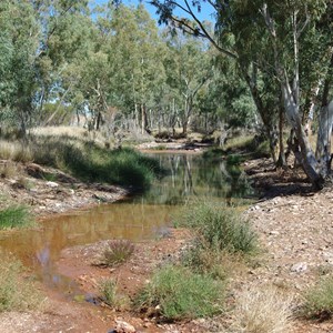 Elder Creek