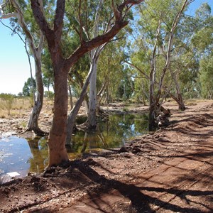 Elder Creek