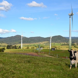 Windy Hill Wind Farm