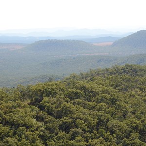 Rollo Gallop Bridge Lookout and Rest Area