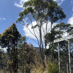 Heales Lookout