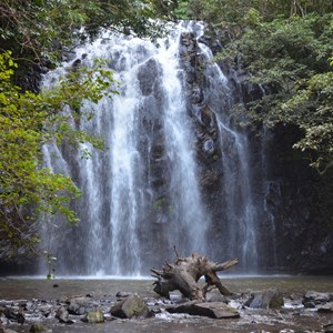 Ellinjaa Falls