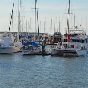 Cairns Marlin Marina 