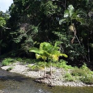 Cooper Creek