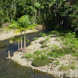 Cooper Creek