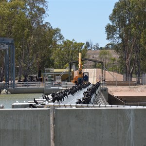 Weir & Lock 1 - Blanchtown 