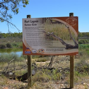 Hart Lagoon