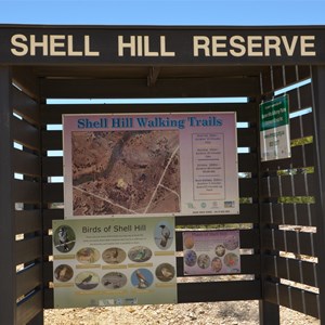 Shell Hill