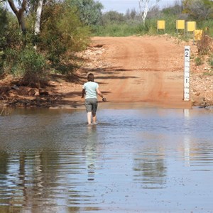 Lyons River Crossing