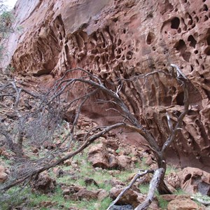 Honeycomb Gorge - Kennedy Range National Park