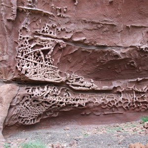 Honeycomb Gorge - Kennedy Range National Park