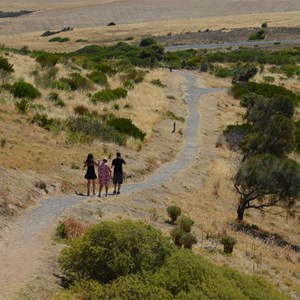 Walking track leading down from the mine site