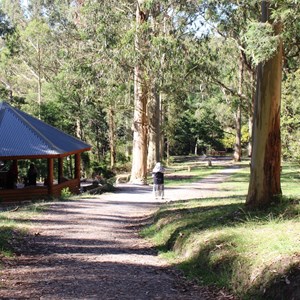 Picnic shelter and grassed area