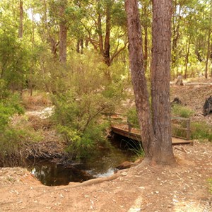 Nanga Brook at Nanga Brook campground