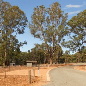 Nanga Brook - caravan site 1