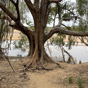 Gilbert River Rest Area