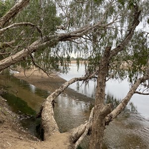 Gilbert River Rest Area