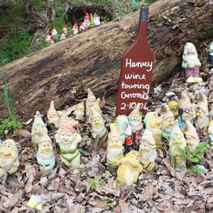 Gnomesville