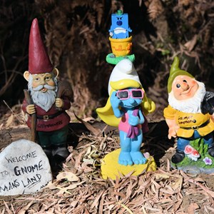 Gnomesville