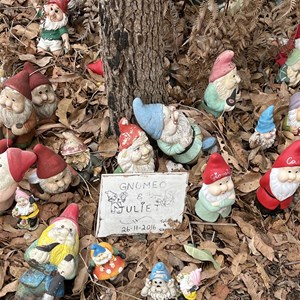 Gnomesville