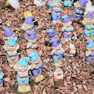 Gnomesville