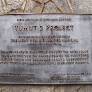 Plaque