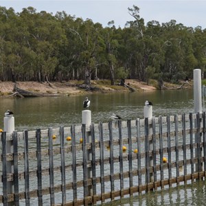 Lock 10 Wentworth 