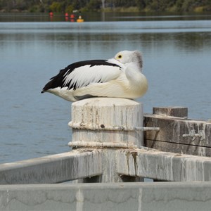 Lock 10 Wentworth 