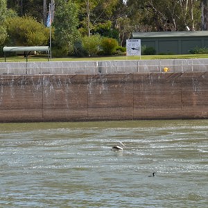 Weir & Lock 8 - Wangumma