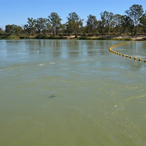 Lock 5 and Weir Renmark