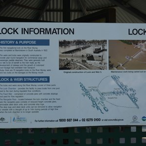 Lock 5 and Weir Renmark