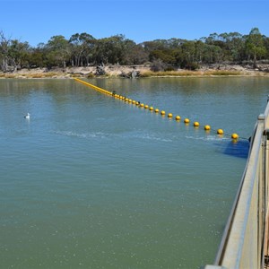 Lock 4 & Weir - Bookpurnong