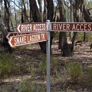 Snake Lagoon Track Turn Off - Lock 8 Track 